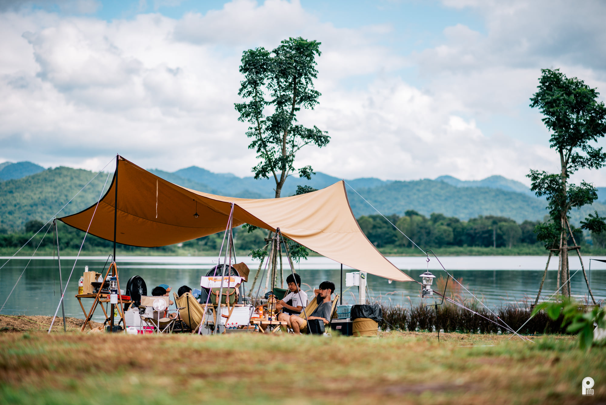 ลานป่าสน